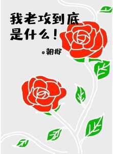 我老公到底是什麼