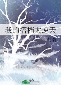 我的搭档太逆天